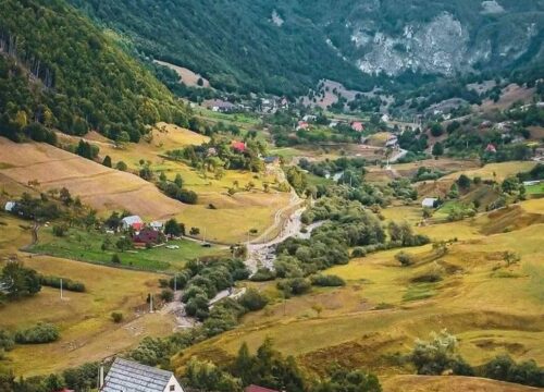 Nje dite ne : LEPUSHE-TAMARE-VERMOSH